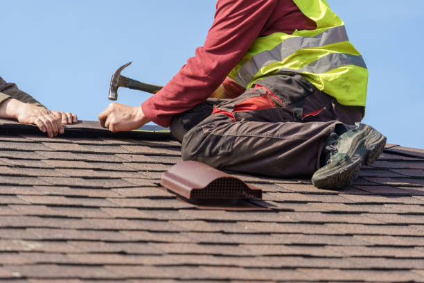 Best Roof Waterproofing Services  in Marissa, IL