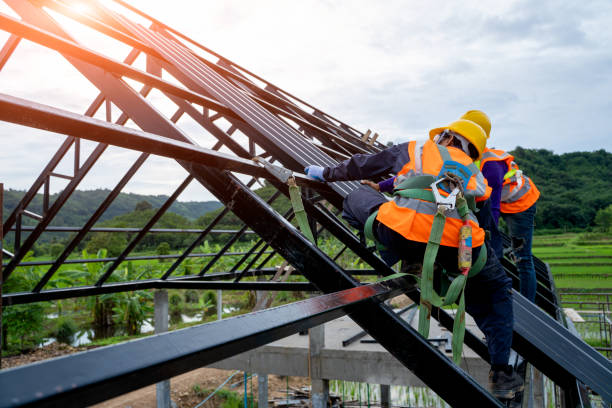 Best Gutter Installation and Roofing  in Marissa, IL