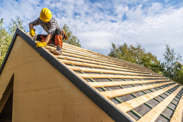 Best Roof Maintenance Services  in Marissa, IL