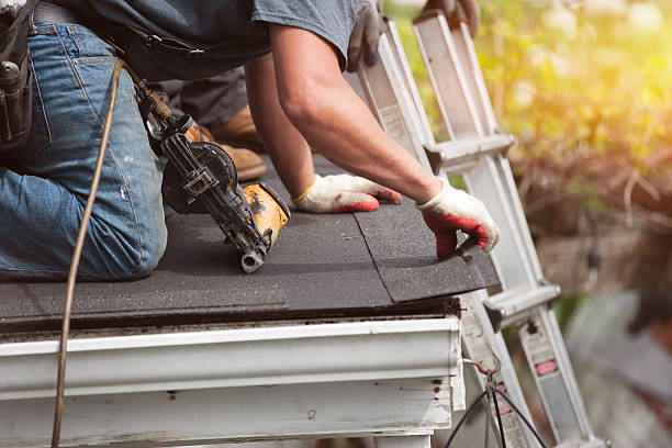 Best Roof Maintenance Services  in Marissa, IL