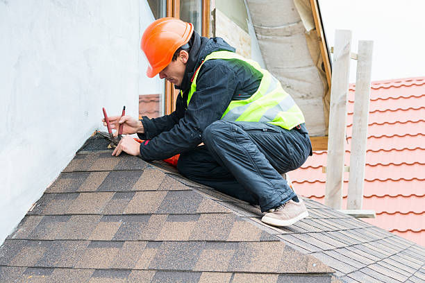 Best Roof Gutter Cleaning  in Marissa, IL
